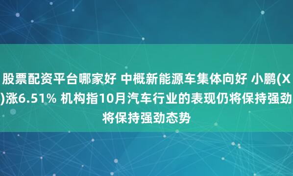 股票配资平台哪家好 中概新能源车集体向好 小鹏(XPEV)涨6.51% 机构指10月汽车行业的表现仍将保持强劲态势